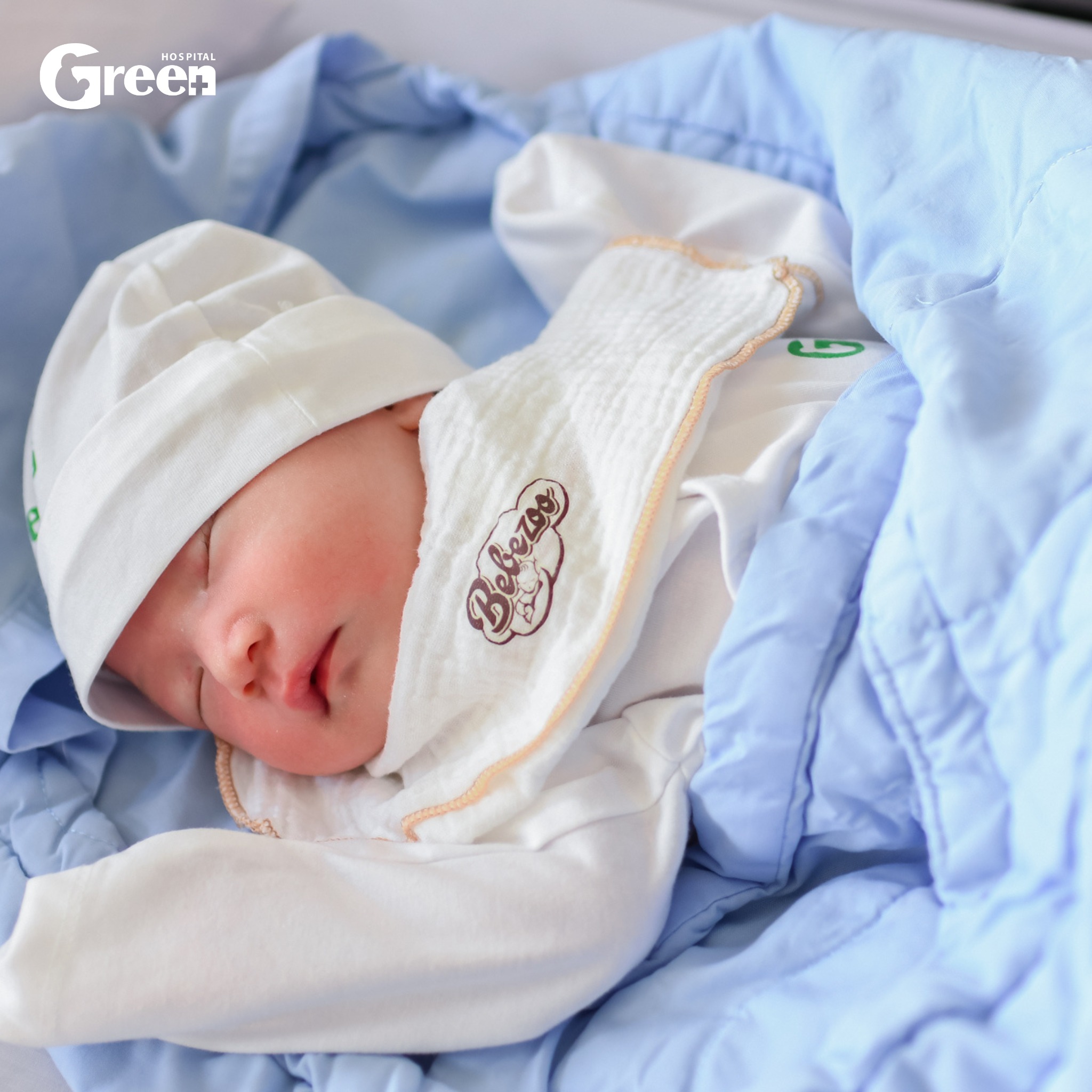 Những Chương Trình Hợp Tác